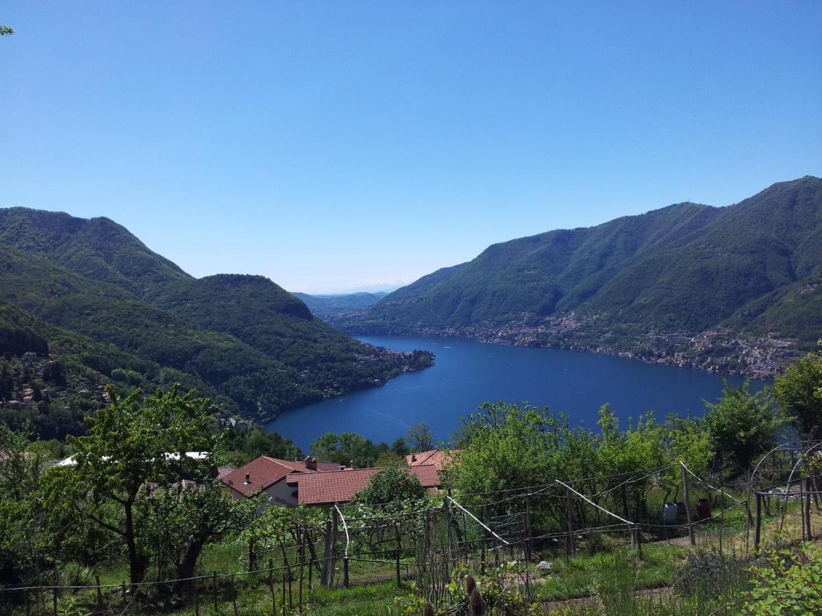 B&B Le Magnolie Фаджето-Ларио Экстерьер фото